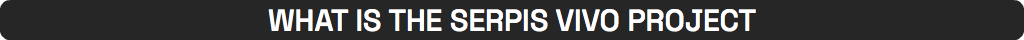 WHAT IS THE SERPIS VIVO PROJECT