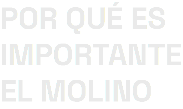 POR QUÉ ES IMPORTANTE EL MOLINO